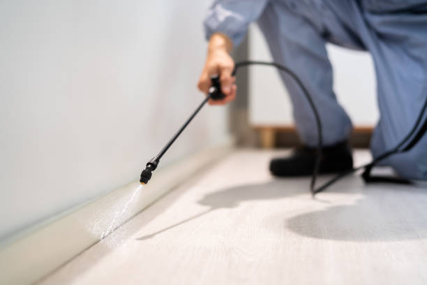 Licensed Pest Control service in Briarcliff, TX - Show Me Pest Control