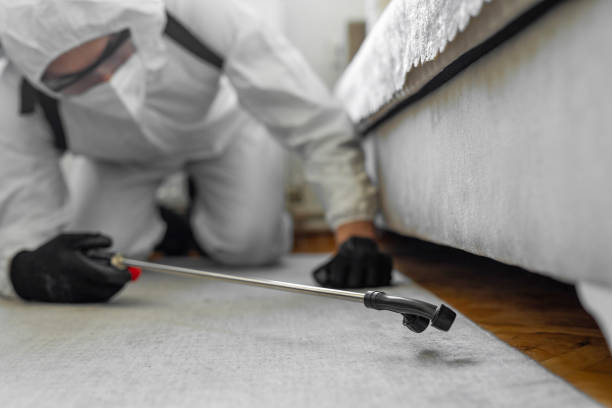 Professional Ant Control technician working in Briarcliff, TX