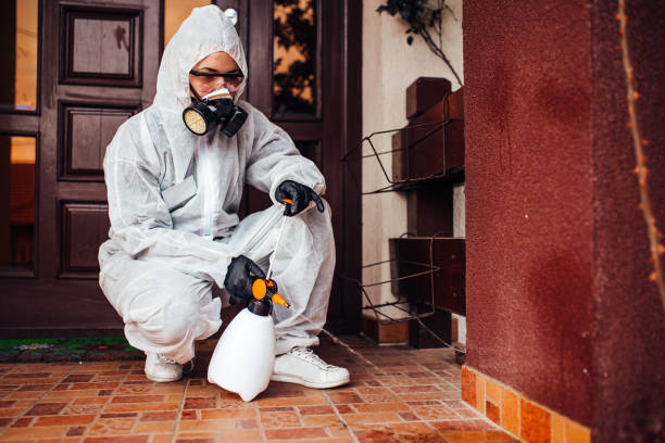 Reliable Ant Control contractor in Briarcliff, TX by Show Me Pest Control